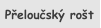 Přeloučský rošt